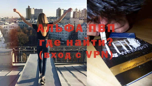 СК Абинск