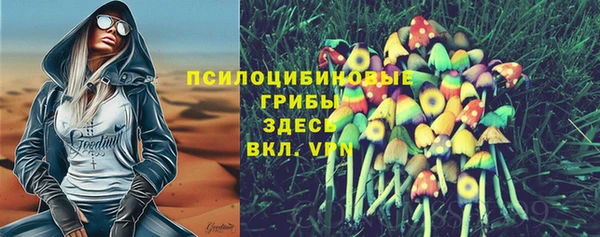 марки nbome Няндома