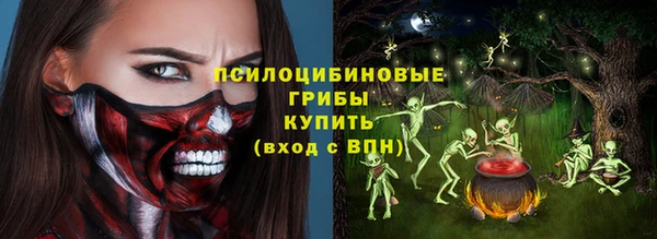 а пвп мука Абаза