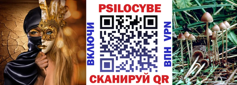 Галлюциногенные грибы Psilocybe  как найти   Уварово 