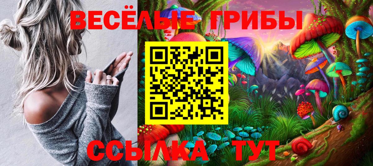 Псилоцибиновые грибы Cubensis  Вход с VPN  Уварово  Галлюциногенные грибы Psilocybe 